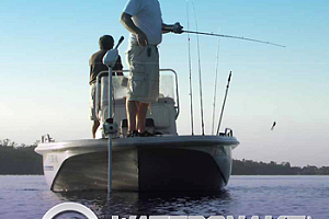 Электромоторы Watersnake