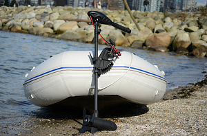 Бюджетные электромоторы WATERSNAKE